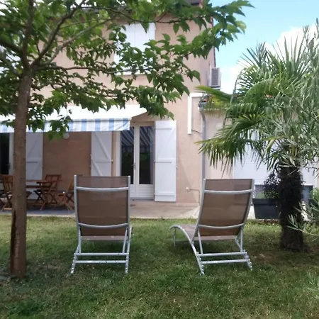 Fleurs De Cosmos Albi