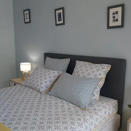 Oda ve Kahvaltı Fleurs De Cosmos Albi