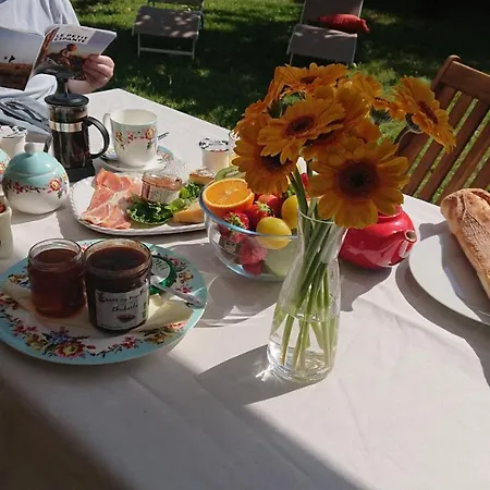 Fleurs De Cosmos Albi