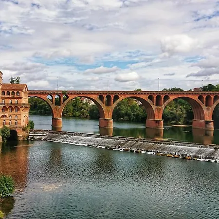 Fleurs De Cosmos Albi