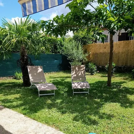 D'hotes Confort Fleurs De Cosmos Bed & Breakfast Albi