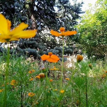 D'hotes Confort Fleurs De Cosmos Bed & Breakfast 3*