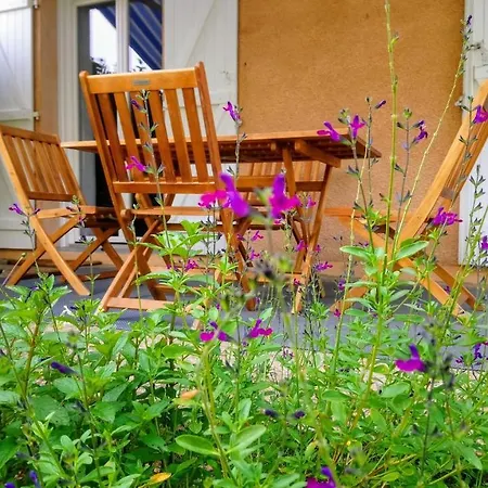 Fleurs De Cosmos, Suite Lumineuse Climatisee