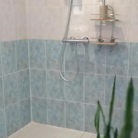 Oda ve Kahvaltı Fleurs De Cosmos