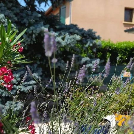 Bed & Breakfast Fleurs De Cosmos, Suite Lumineuse Climatisee 3*