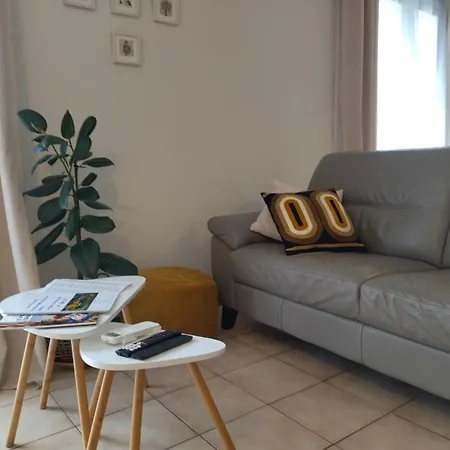 Fleurs De Cosmos, Suite Lumineuse Climatisee 3* Albi