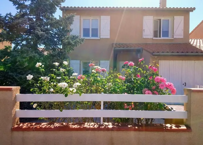 Fleurs De Cosmos D' Hotes Bed & Breakfast Albi