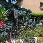 Bed & Breakfast Fleurs De Cosmos D' Hotes 3*