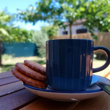 B&B Fleurs De Cosmos 알비