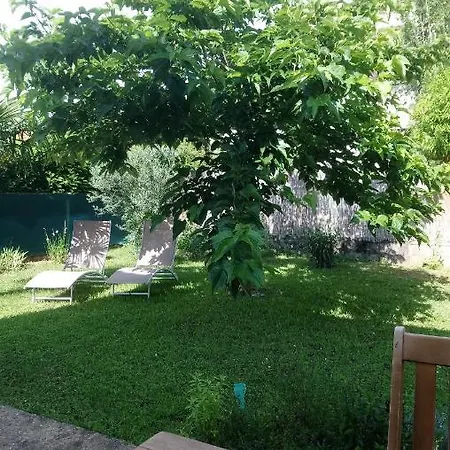 Bed & Breakfast Fleurs De Cosmos Albi