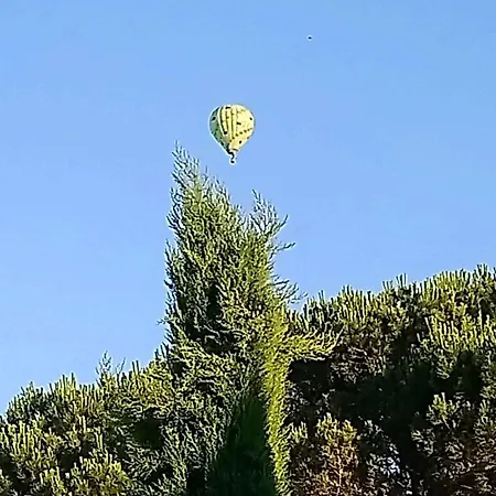 B&B Fleurs De Cosmos