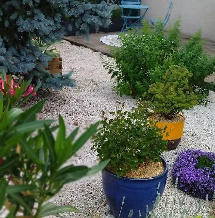 Fleurs De Cosmos Bed & Breakfast