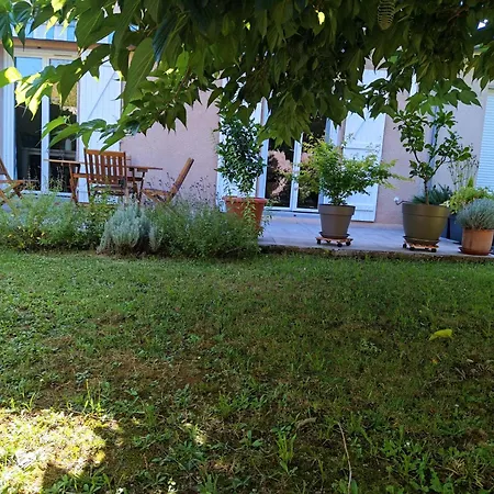 Bed & Breakfast Fleurs De Cosmos