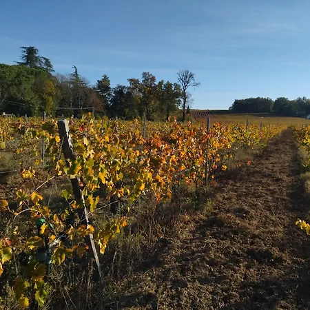 Fleurs De Cosmos 알비