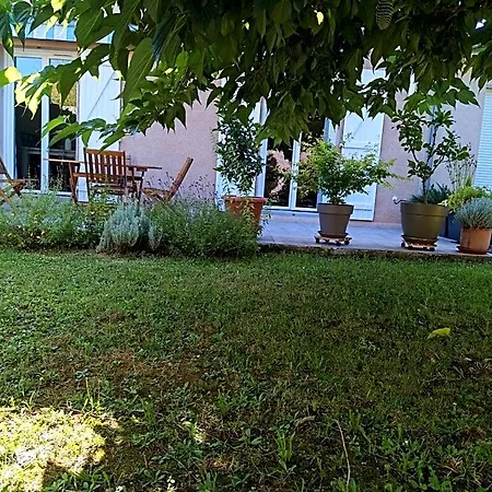 Fleurs De Cosmos, Lumineuse Climatisee Bed and Breakfast Αλμπί