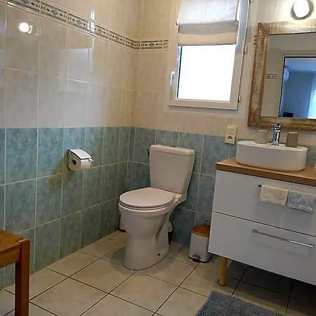Fleurs De Cosmos, Lumineuse Climatisee 3* Albi