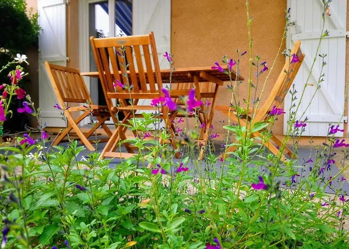 Fleurs De Cosmos D' Hotes