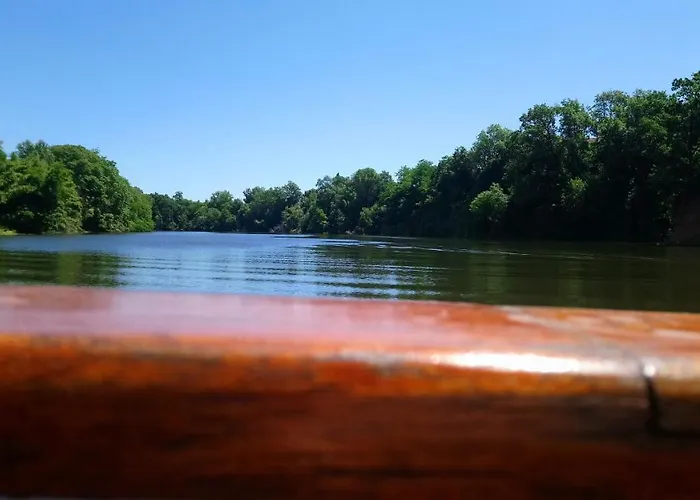 Fleurs De Cosmos D' Hotes アルビ