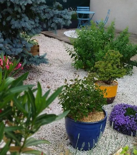 Fleurs De Cosmos D' Hotes ベッド・アンド・ブレックファスト